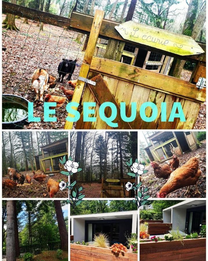 Le Sequoia Apartment Saint-Sebastien-sur-Loire Luaran gambar